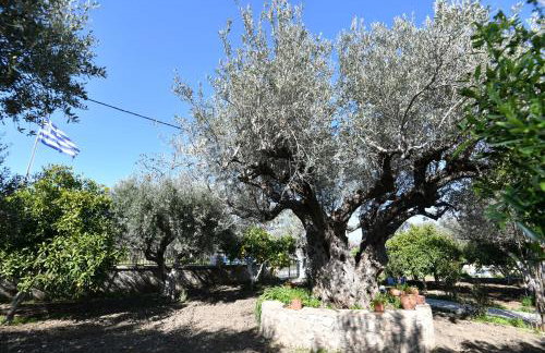 Villa Kavalino - Foto 11