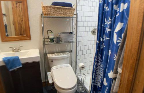 Secluded Modern Cabin On 10 Acres Tarryall Creek - Foto 32