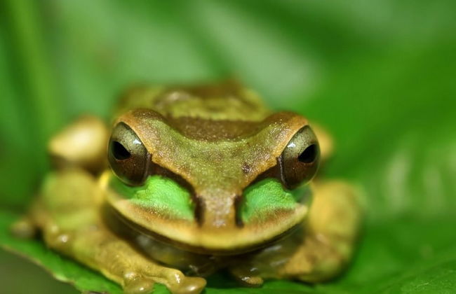 Impressively designed and decorated 3rd-floor space overlooking pool in Coco - Photo 48