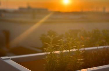 Luxury Apartments Collection Sand Suite - Foto 31