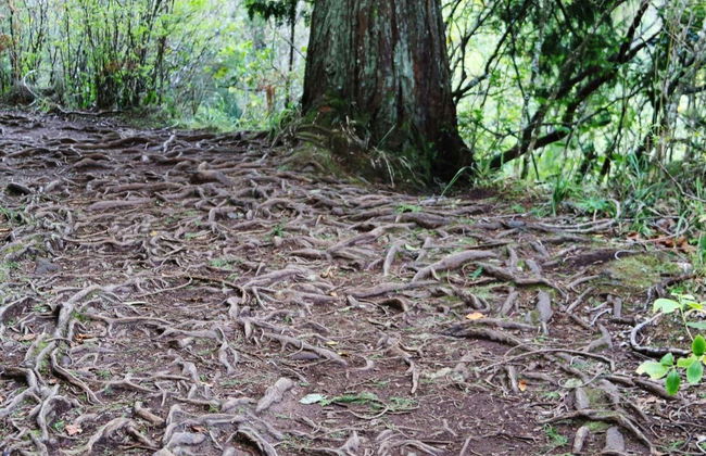 Hiking Tour Around the Caldeirão Verde Levada - Photo 4