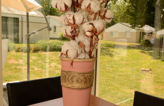 Vakantie Zuid Limburg - Photo 1