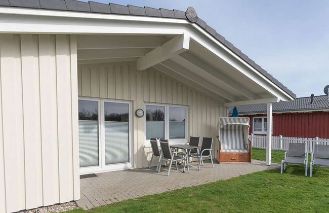 Steinwälzer - Foto 1