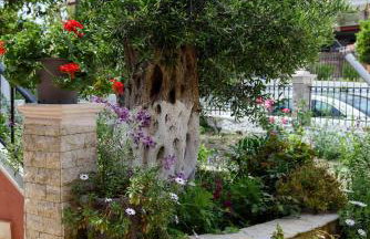 Seaview Cottage - Calmare - Foto 14