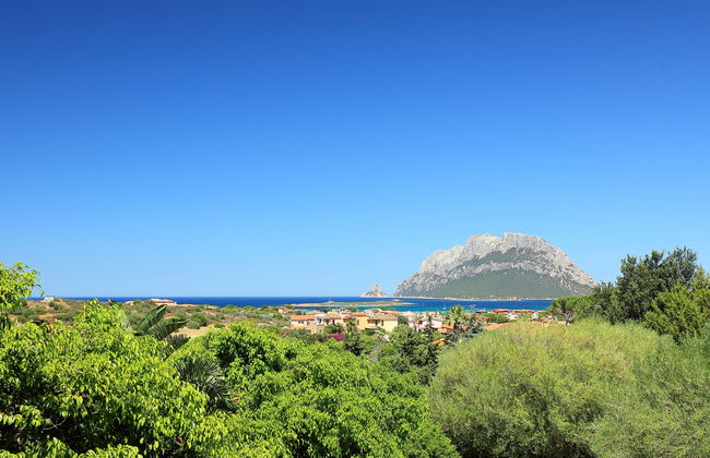 Dalia 14 - Vista Village - Foto 13