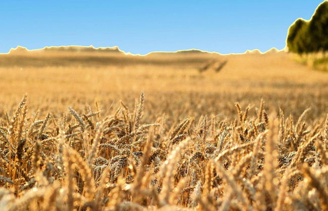 Semi-detached Houses Hyggelig, Seehausen - Foto 60