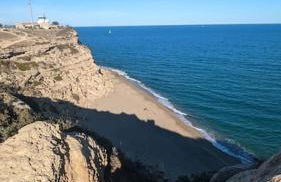 à 5mn de la réserve Africaine, charmante maison de village avec patio - Foto 13