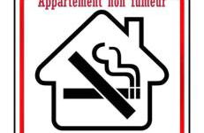 Studio3 proche Quai Rouget - Photo 18