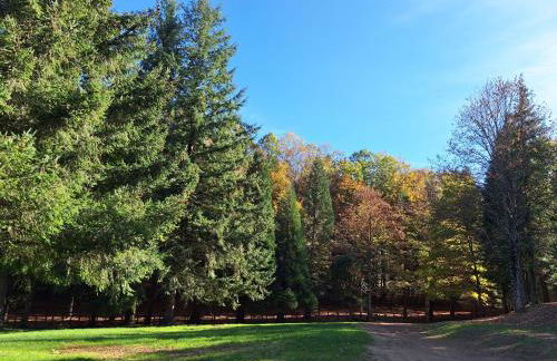 Rondini apartment - Foto 20