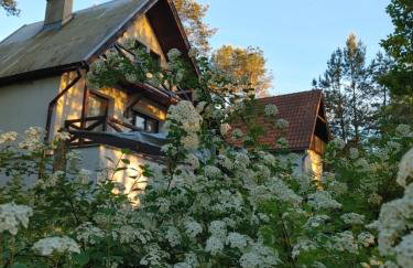 Domek w Borach Tucholskich - Wycinki - Foto 55