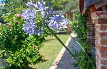 Moderni apartman Tina - Foto 33