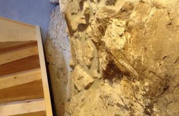 La Cabaña de Bernardina - Foto 18