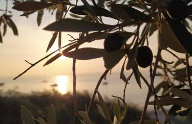 Appartamento La Scaletta - Foto 26