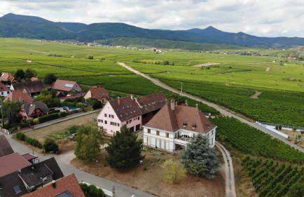 gîtes au domaine Greiner - Foto 45