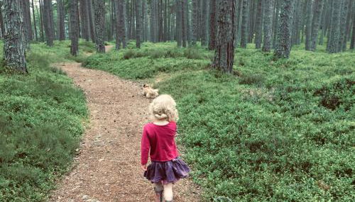 Drumguish Cottage - Foto 5