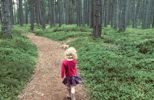 Drumguish Cottage - Foto 6