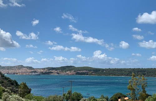 Katarina Apartments Kefalonia - Sea View - Foto 53