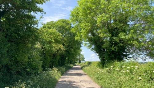 Rutherford Apartment - Foto 2