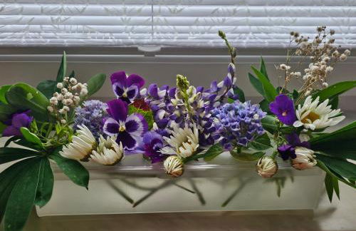 Warburg, FeWo "Sweet Home" 2,5 Zi- EG-separater Eingang - Parkplatz - Terasse- komfortabel,renoviert - Foto 15