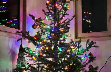 New for 2025 Chalet Homestake View - Foto 46