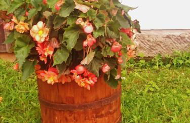 Ferienwohnung Herpich - Foto 22