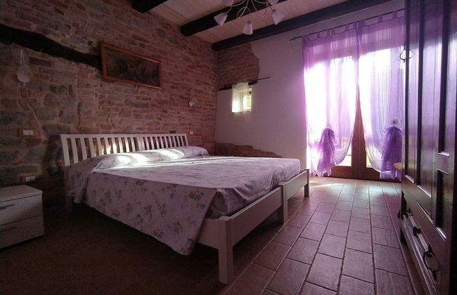 Agriturismo Terre Vineate - Foto 3