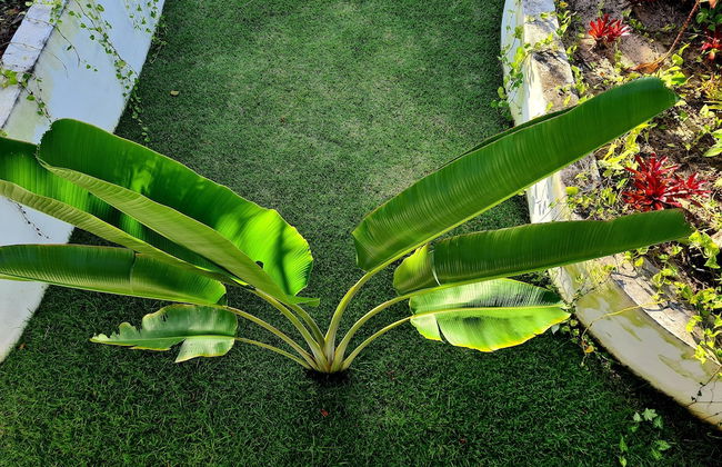 Brisas do Sul Condo Boutique - Foto 71