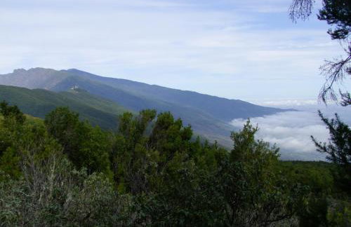 Villas Las Cercas - Photo 66