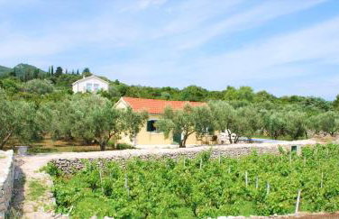Vineyard House & Olive Grove House - Photo 35