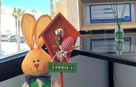 Aloha Beach Vibe - Foto 1