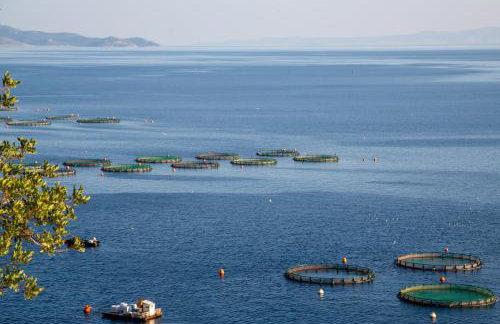 Kineta Seaside Summer Apartments - Foto 23