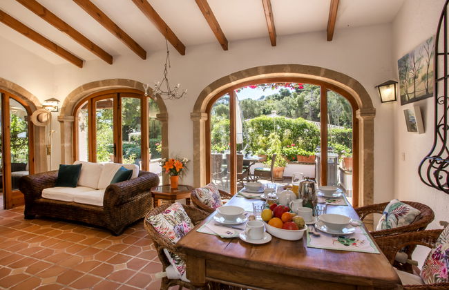 Mirlo Canta - Foto 2