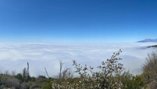 Million Dollar Mountain View - Foto 5