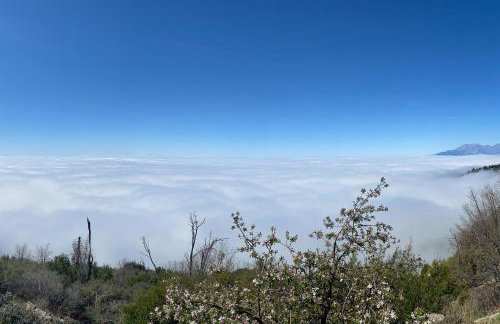 Million Dollar Mountain View - Foto 5