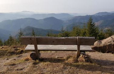 Ferienwohnung Tannenballett im Schwarzwald - Foto 56