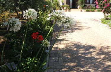 Villa Calendula - Foto 42