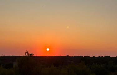 Domus Veretum - Foto 5