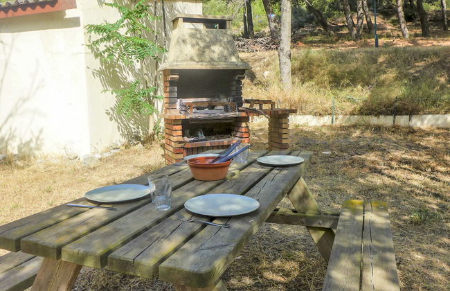 Les Vendanges - Foto 41