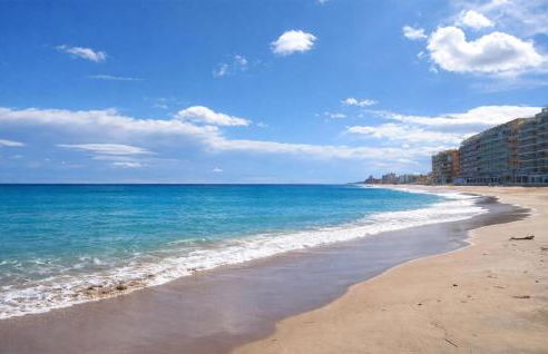 Marisol Molina - Foto 19