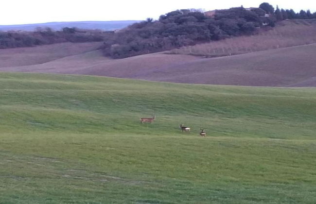 Rustic Escape With Pool - Foto 33