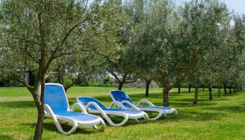 Uliveto Apartment - Foto 3