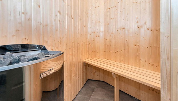 6 Person Holiday Home in Ringkobing - Foto 5, Sauna