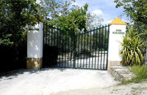 El Masegal - Photo 58