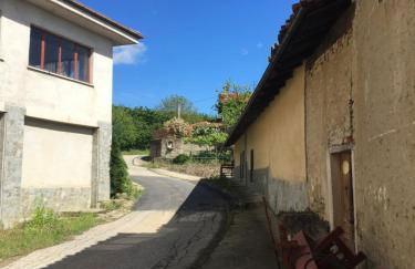 Entroterra Langa - Foto 18