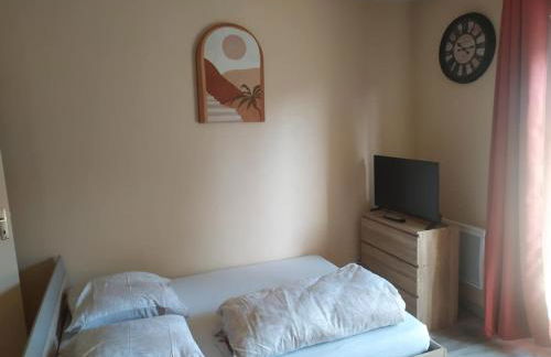 T1 Chaleureux TOURS 2 couchages - Photo 2