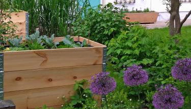 Ferienwohnung Gartenglück - Foto 2, Garden