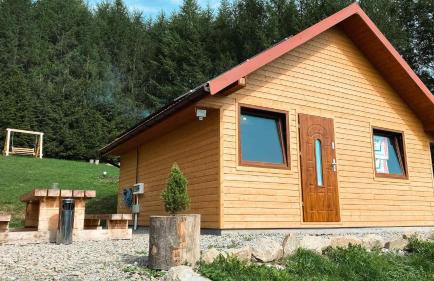 BIESZCZADZKA Antosiówka - Foto 12