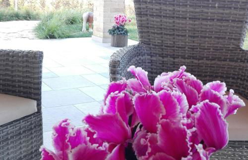 B&B CasalFarano - Foto 32