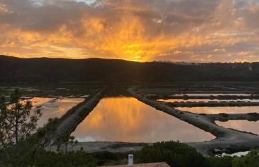 Herdade d'Amoreira Rosmaninho Studio - Foto 48