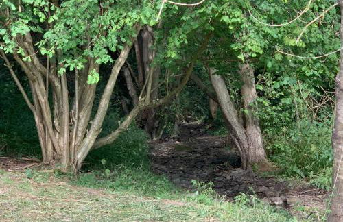 Tower Farm Holidays - Photo 33